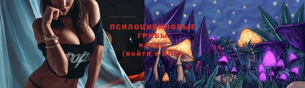 стафф Волосово
