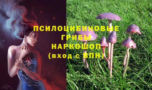 стафф Волосово